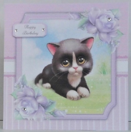 Gorgeous Black Cat 8x8 by Hazel Underwood
