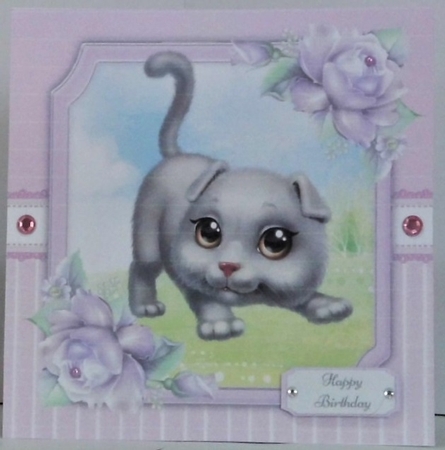 Gorgeous Grey Cat 8x8 by Hazel Underwood