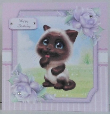 Gorgeous Siamese Cat 8x8 by Hazel Underwood