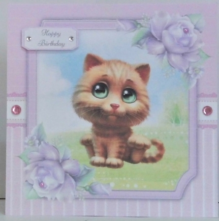 Gorgeous Brown Cat 8x8 by Hazel Underwood