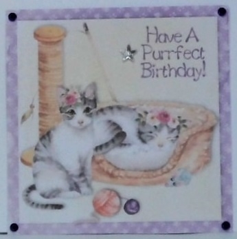 Cute grey kittens with flowers birthday mini kit for 7 x 7 card with insert and tags. by Hazel Underwood