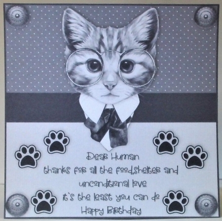 8x8 Birthday Card From the cat 2 by Hazel Underwood