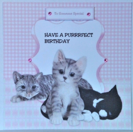 Purrrfect birthday by Hazel Underwood