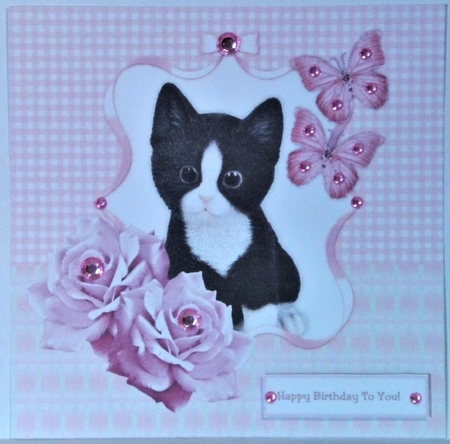 Cute Kitty by Hazel Underwood