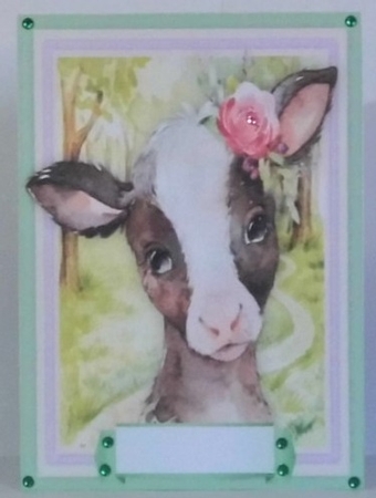 Baby Calf , With Verse  by Hazel Underwood
