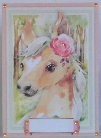 Baby Foal , With Verse  by Hazel Underwood