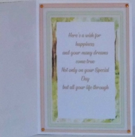 Baby Foal , With Verse  by Hazel Underwood