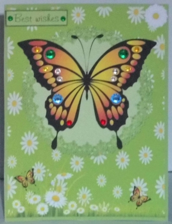 Monarch butterfly birthday greeting card by Hazel Underwood