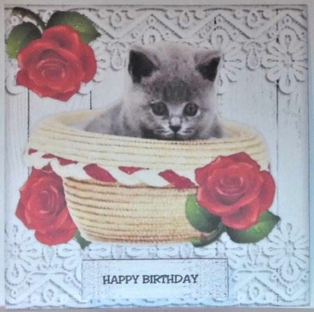 Topper & Insert Birthday Kitten by Hazel Underwood