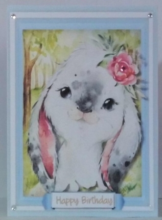 11, Sheet A5 Animal Bunmper Kit  by Hazel Underwood