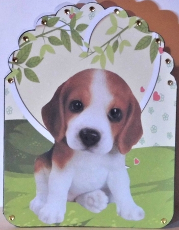 Beagle pup by Hazel Underwood