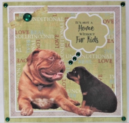 Decoupage cute pets#2 by Hazel Underwood