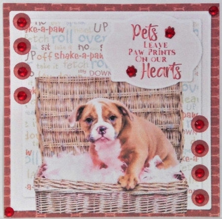 Decoupage cute pets#3 by Hazel Underwood