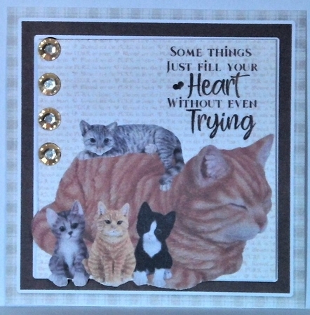 Decoupage cute pets#5 by Hazel Underwood