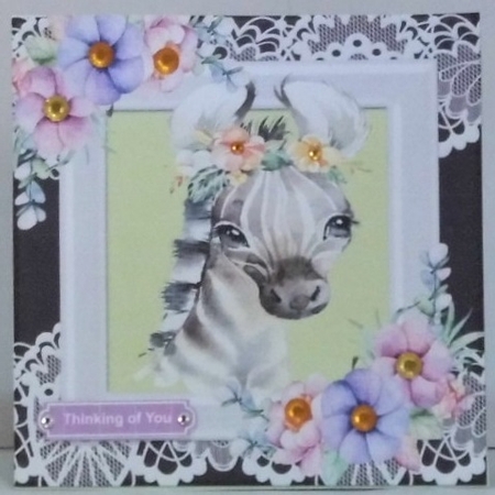 Cute zebra in watercolour with flowers/lace 7x7 by Hazel Underwood