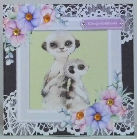 Cute meerkats in watercolour with flowers/lace 7x7 by Hazel Underwood
