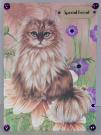 Purrfect quick card by Hazel Underwood
