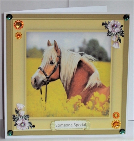 Pony In the Field by Hazel Underwood