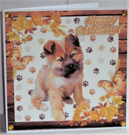 Cute puppy in frame with autumn leaves 8x8 by Hazel Underwood