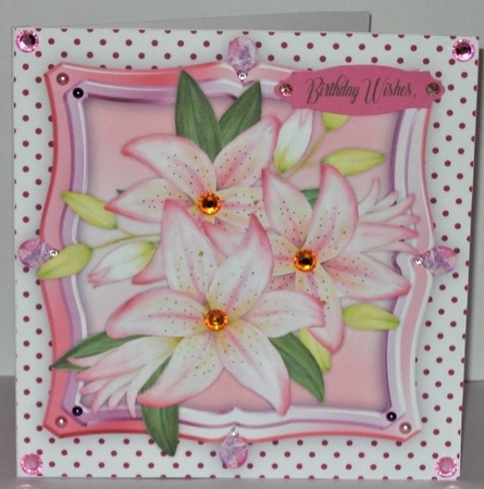 Beautiful Pink Lillys  by Hazel Underwood