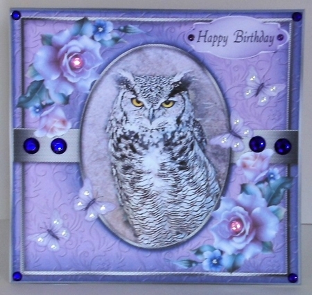 Portrait of an Owl by Hazel Underwood