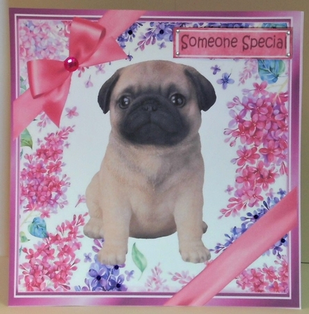 Gorgeous little puppy (three) with bows  and flowers 8x8 by Hazel Underwood