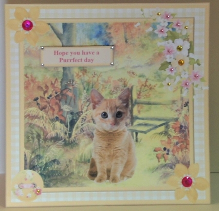 Hope You Have a Purrfect Day Card Topper & Decoupage by Hazel Underwood