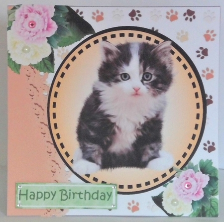 Sweet little kitten with pink/white peonies card front 7x7 with topper  by Hazel Underwood