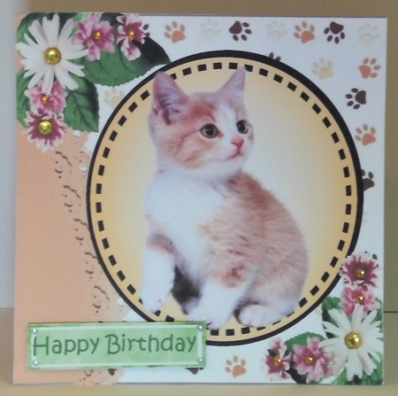 Sweet little kitten with daisies card front 7x7 with topper by Hazel Underwood