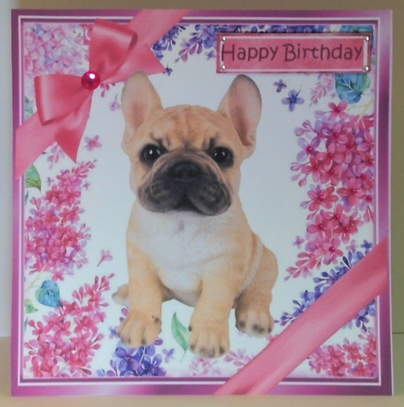 A Lovely Variety of 12 cute puppies 8x8 card fronts Bumper Kit by Hazel Underwood