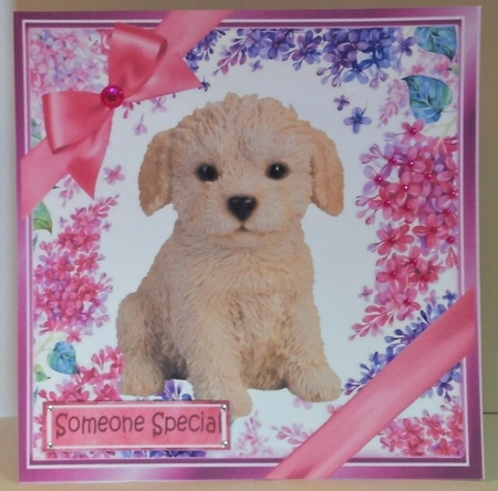 A Lovely Variety of 12 cute puppies 8x8 card fronts Bumper Kit by Hazel Underwood