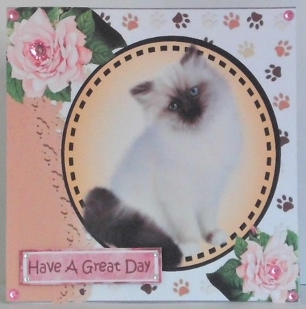 Sweet little siamese kitten with pink roses card front 7x7 with topper by Hazel Underwood