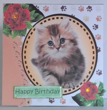 Sweet little fluffy kitten with red peonies card front 7x7 with topper by Hazel Underwood