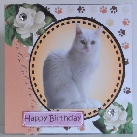 Sweet white kitten with white roses card front 7x7 with topper by Hazel Underwood