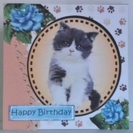 Sweet little black and white kitten with blue roses card front 7x7 with topper by Hazel Underwood