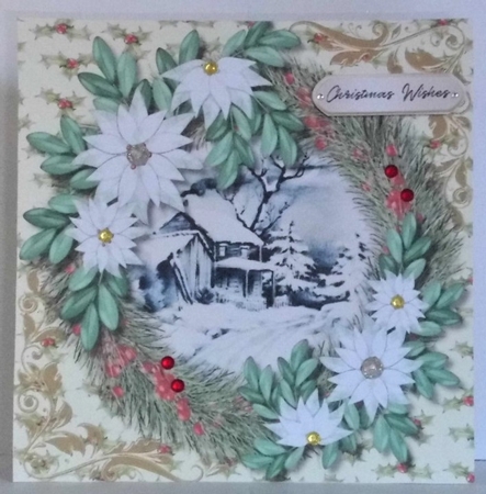 Beautiful White Poinsettias   by Hazel Underwood