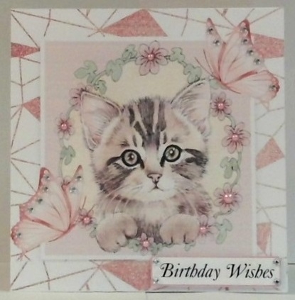Sweet Kitten in frame of Abstract , flowers and butterflies 8x8 by Hazel Underwood