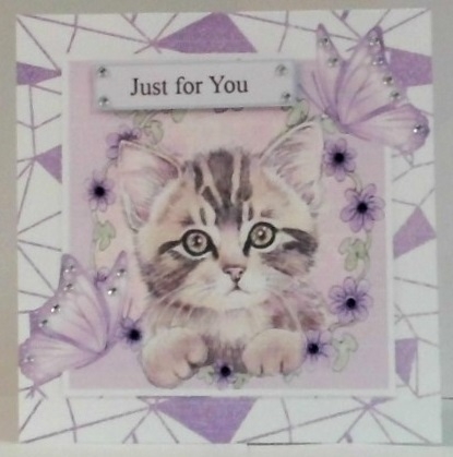 Sweet Kitten in frame of Abstract , flowers and purple butterflies 8x8 by Hazel Underwood
