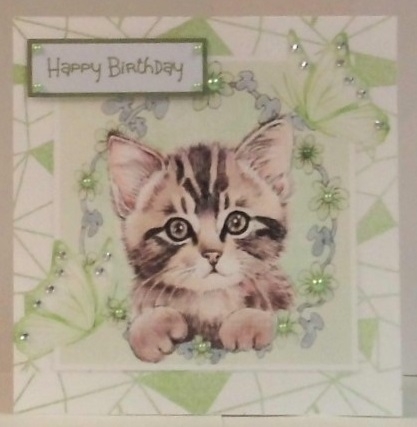Five Little kittens with flowers & butterflies in abstract 8x8 frames mini kit by Hazel Underwood