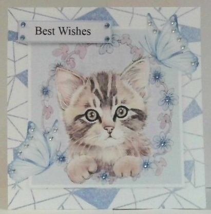 Five Little kittens with flowers & butterflies in abstract 8x8 frames mini kit by Hazel Underwood