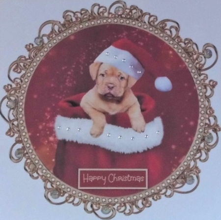 Decorative Christmas plates 3 by Hazel Underwood
