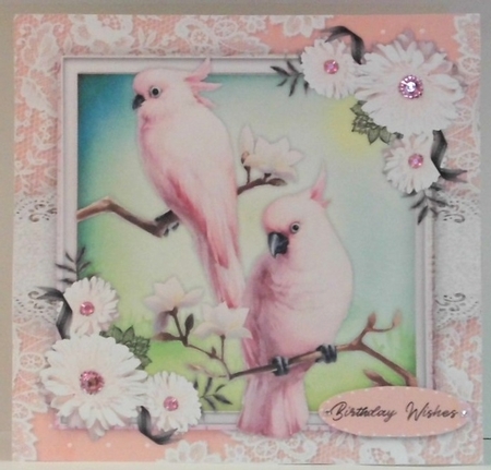 Beautiful Pink Parrots and Daisys  by Hazel Underwood