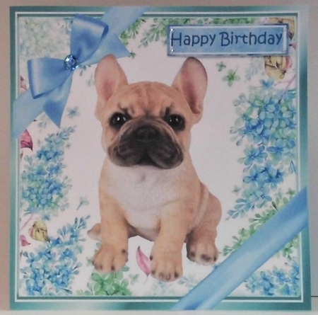lovely little french bulldog puppy (five) with blue bows  and flowers 8x8 by Hazel Underwood