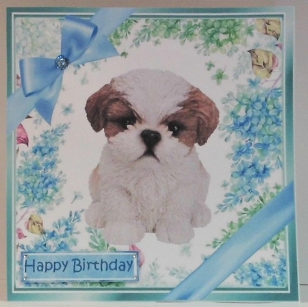lovely little shitzu puppy (ten) with blue bows  and flowers 8x8 by Hazel Underwood