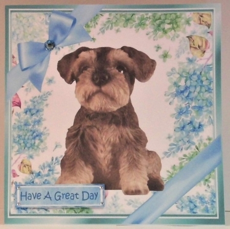 lovely little Schnauzer puppy (eleven) with blue bows  and flowers 8x8 by Hazel Underwood