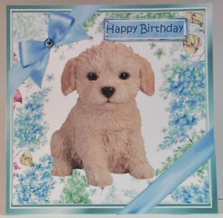 lovely little labradoodle puppy (twelve) with blue bows  and flowers 8x8 by Hazel Underwood
