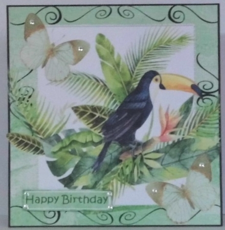 Lovely Toucan on a branch of leaves & butterflies 8x8 by Hazel Underwood