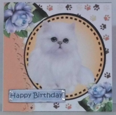 Sweet white persian kitten with blue roses card front 7x7 with topper by Hazel Underwood