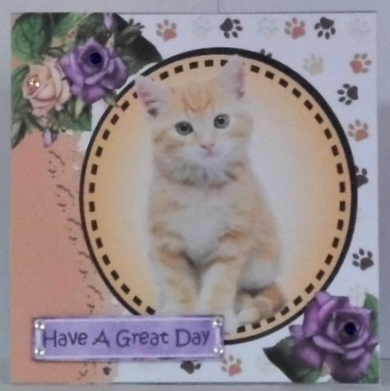 Sweet ginger/white kitten with purple/cream roses card front 7x7 with topper by Hazel Underwood
