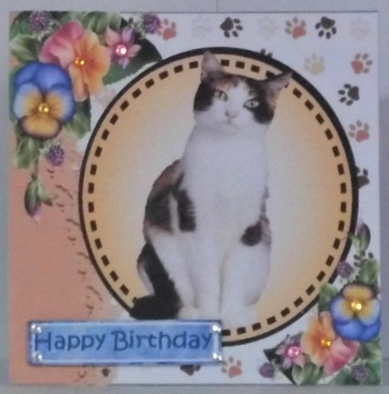 Sweet white/tan/black kitten with pretty flowers card front 7x7 with topper by Hazel Underwood